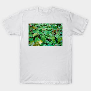 Red and Green Tropics T-Shirt